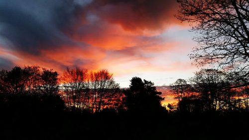 Silhouette of trees against cloudy sky