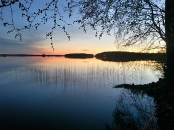 Reflection of trees in calm water