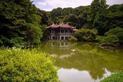 Traditional tea house by sakura pond at shinjuku gyoen national garden