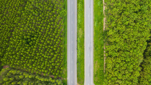 Scenic view of green field
