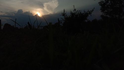 Silhouette trees on field against sky at sunset