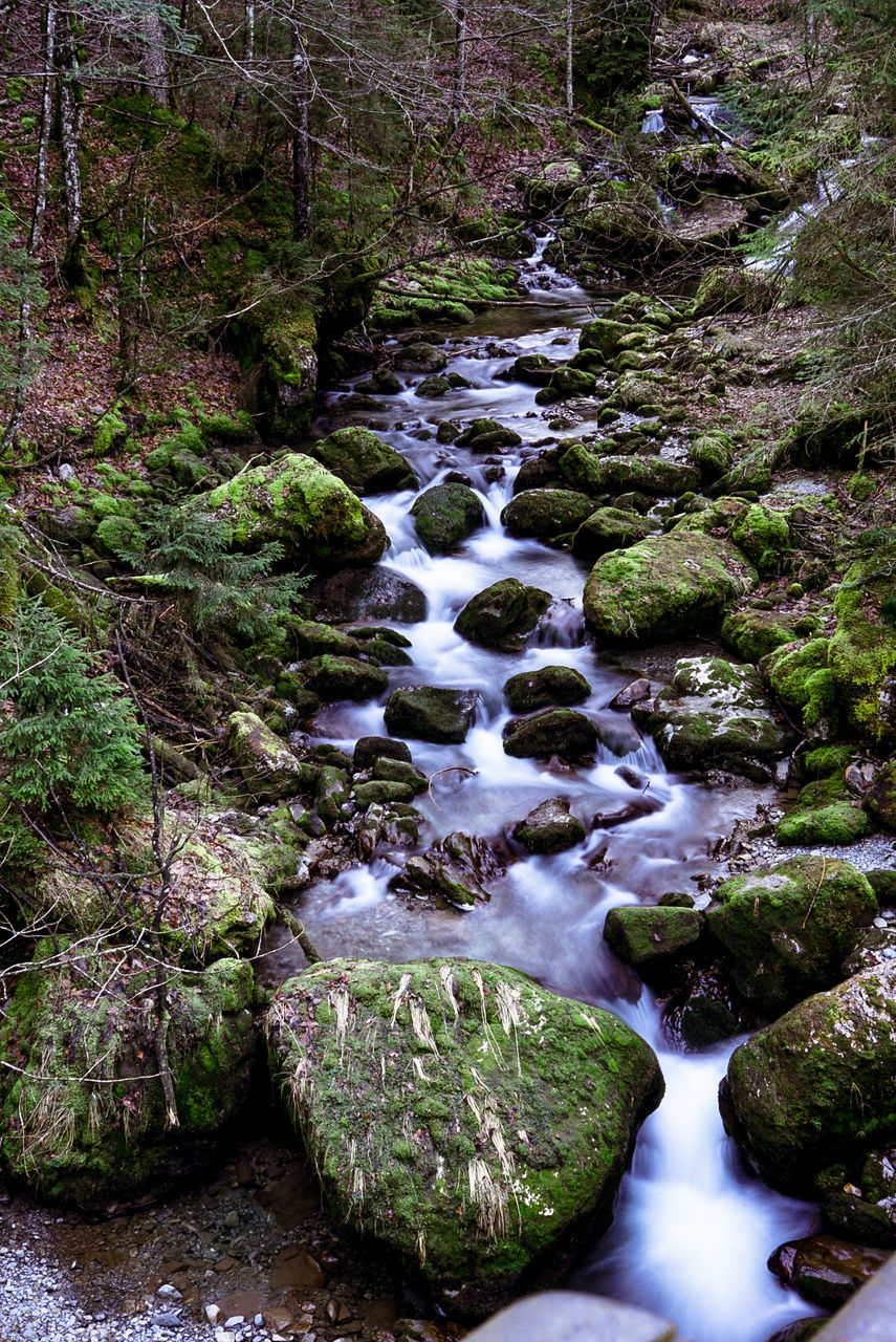 water, rock, forest, solid, flowing water, beauty in nature, plant, motion, tree, rock - object, downloading, nature, no people, long exposure, land, flowing, scenics - nature, day, blurred motion, stream - flowing water, outdoors