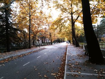 Street amidst trees during autumn