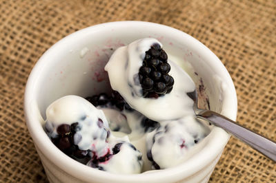 Close-up of ice cream in plate