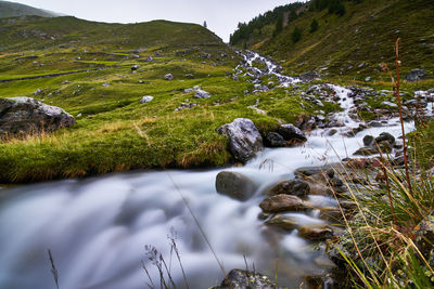 Scenic view of stream in field against sky