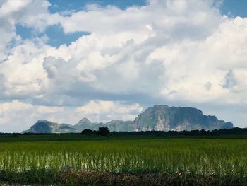 Scenic view of field against sky