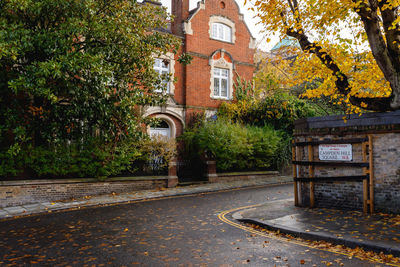 Road amidst trees and buildings in city