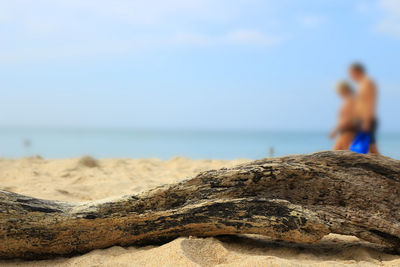 Close-up of rock on beach against sky