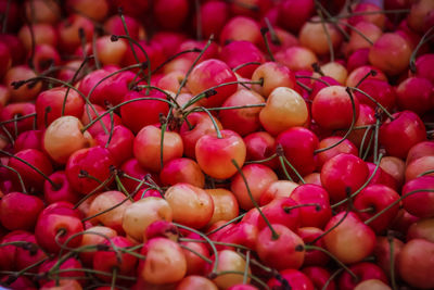 Close-up of fruits for sale in market