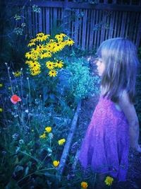 flower