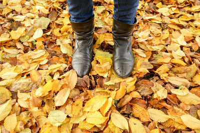 Low section of man standing on fallen leaves
