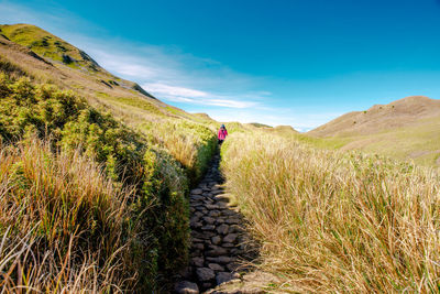 Adult female in red shirt hiking the scenic trail of mount pulag national park, benguet.