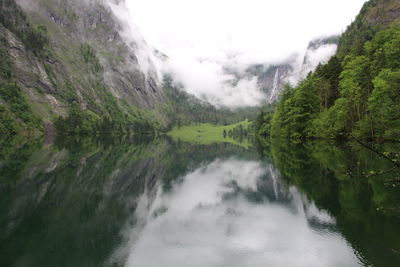 Scenic view of lake by trees against sky