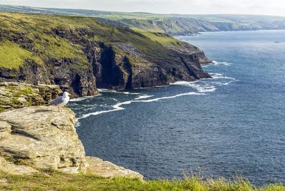 Scenic view of landscape