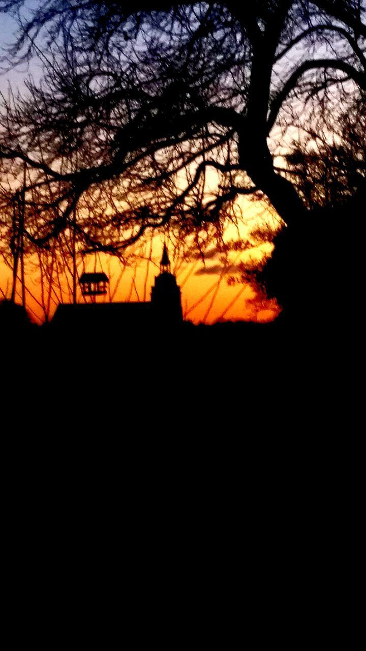 SILHOUETTE BARE TREES AGAINST ORANGE SKY