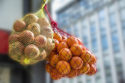 Low angle view of bananas hanging on tree