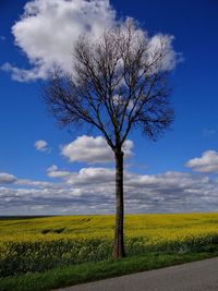 Scenic view of field against cloudy sky