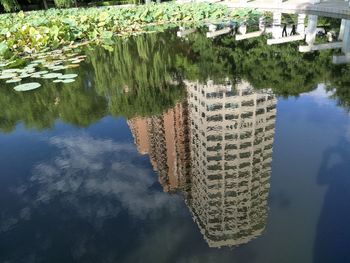 Reflection of trees in lake against sky