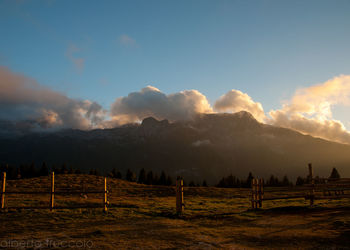 Scenic view of field against sky during sunset