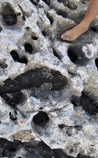 High angle view of human hand on rock