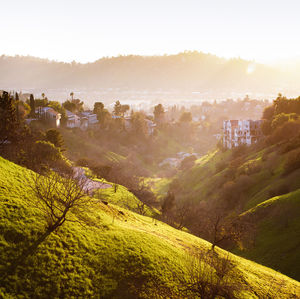Walnut canyon in glassell park on a golden sunset