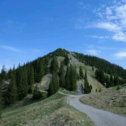 Scenic view of landscape against clear sky