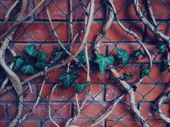 Full frame shot of red background