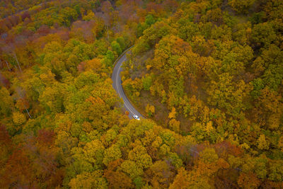 Visegrád, hungary - aerial view of curvy road going through autumn colored forest