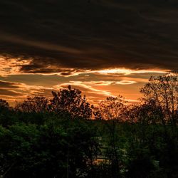 Silhouette trees on landscape against sky at sunset