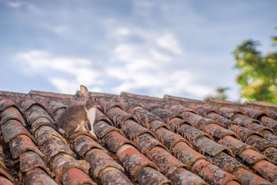 Low angle view of roof against sky