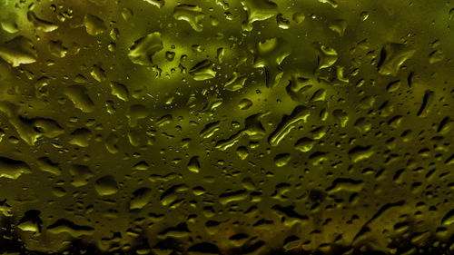 Close-up of water drops on glass