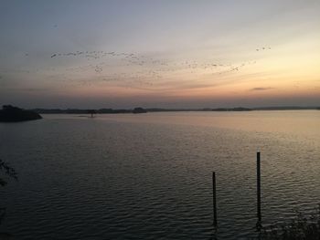 Birds flying over sea against sky at sunset