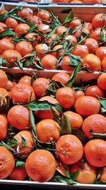 High angle view of oranges for sale