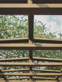 Close-up of tree against sky