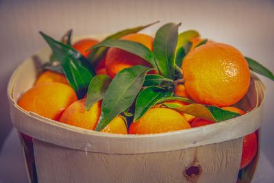 Close-up of orange fruits