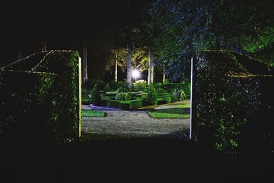 View of illuminated park at night