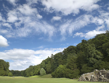 Trees on landscape against sky