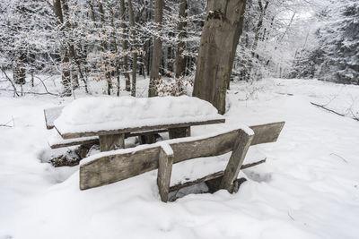 Snow covered bench on field during winter