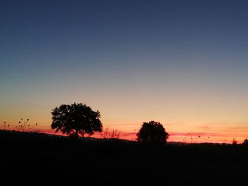 Silhouette trees on field against clear sky during sunset