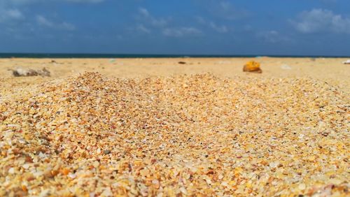 Close-up of sand on beach against sky