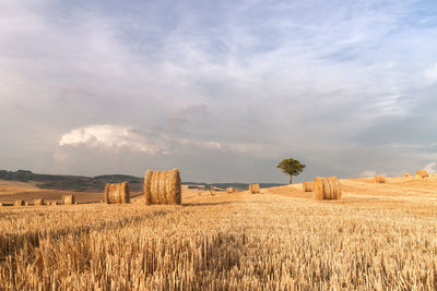 Hay bales on field against sky