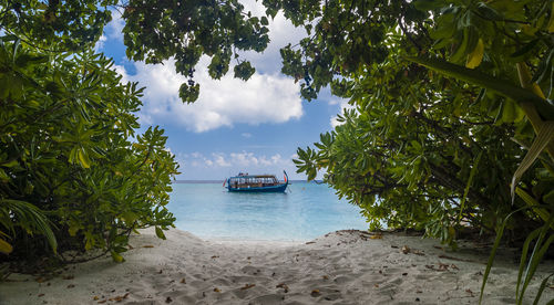 Boat on sea