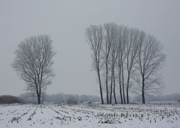 Bare trees on snow covered field against sky