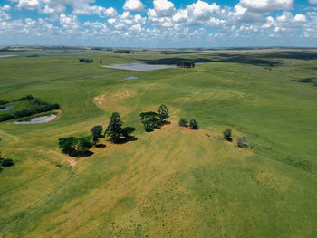 High angle view of trees on field against sky