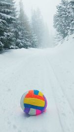 Multi colored umbrella and trees during winter