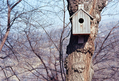 Low angle view of bare tree against building