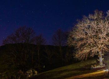 Trees on field against sky at night