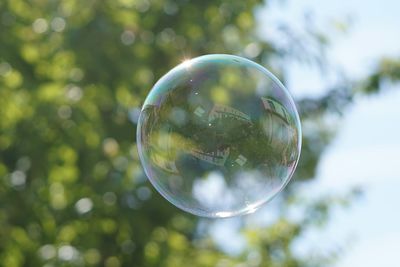 Close-up of bubbles in mid-air