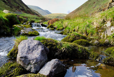 Stream flowing through rocks by river