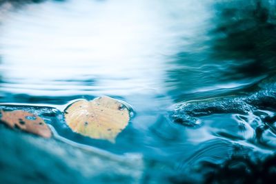 Close-up of sea water